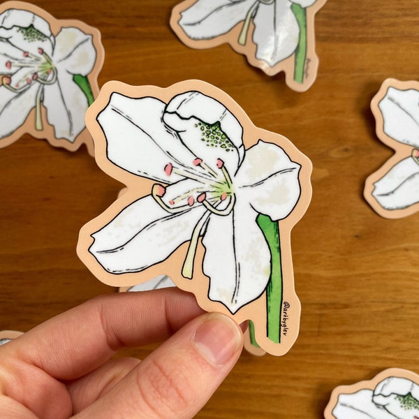 Rhododendron Flower Sticker | 3.25" x 2.75" | Watercolor Botanical Art | Flower Art Sticker | Floral Water Bottle Stickers | Laptop Stickers