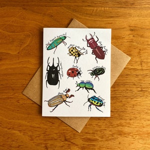 Beetle Greeting Card | Beetle Bug Variety Cards | Bug Cards | Nature Greeting Cards | Cute Bug Cards | Junebug Greeting Card
