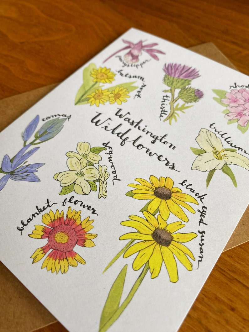 Washington Wildflower Plant Card Floral Washington Greeting Card Botanical Art Nature Cards 2024 Card Everyday Greeting Cards image 2