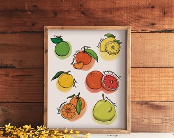 Illustrated Citrus Print | 8" x 10" Art Print | Kitchen Culinary Drawing | Citrus Variety Illustration Print | Foodie Gift | Citrus Wall Art