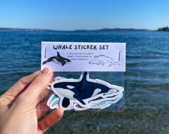 Watercolor Whale Sticker Pack | 6 Watercolor Shark Stickers | Gifts for Marine Lover | Sticker Set | Waterbottle Stickers | Planner Stickers