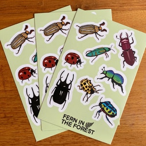 Beetle Sticker Sheets | 4&quot; x 6&quot; Sticker Sheets | Vinyl Stickers Sheet | Bug Stickers | Nature Stickers | Planner Stickers | Beetle Stickers