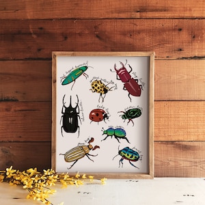 Beetle Art Print | 8&quot; x 10&quot; Print | Bug Illustration Wall Art | Illustrated Beetles Artwork | Nature Bug Art Prints