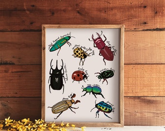 Beetle Art Print | 8" x 10" Print | Bug Illustration Wall Art | Illustrated Beetles Artwork | Nature Bug Art Prints