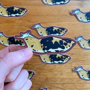 Slug Sticker | 3&quot; x 1.25&quot; | PNW Fall Art | Banana Slug Stickers | Pacific Northwest Water Bottle Sticker | Slug Laptop Stickers | Slug Art
