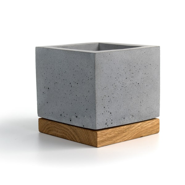 Concrete Cube Planter | Pen Holder| Make Up Brushes Stand| Solid Wood Base + Preserved Scandinavian Reindeer Moss