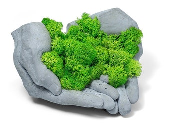 Concrete Hands with Scandinavian Reindeer Moss | Unique Beton Planter