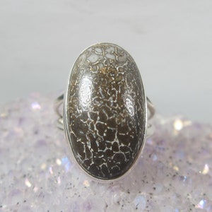 May include: A silver ring with an oval-shaped fossilized dinosaur bone stone.