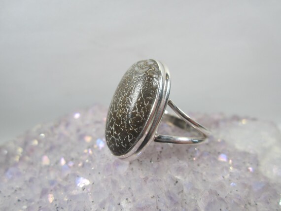 Fossilized Dinosaur Bone Ring Size 8 Vintage Ster… - image 2