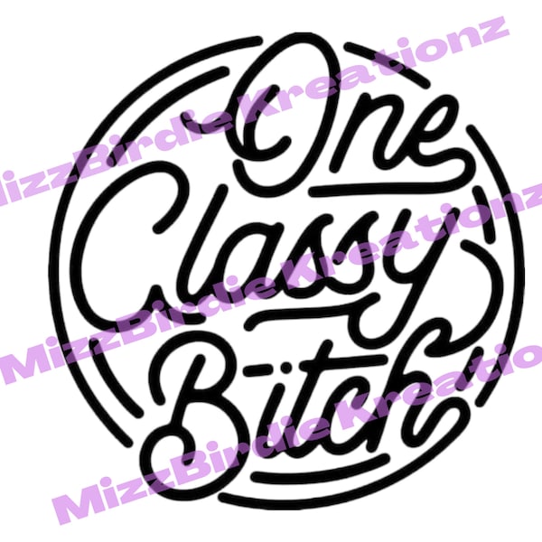 One Classy Bitch SVG, Sassy SVG, Sarcastic SVG, Instant download svg