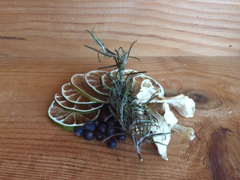 Gin and Tonic Dehydrated Botanicals Garnish Bag Etsy UK