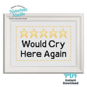Può includere: Un modello a punto croce in una cornice bianca con cinque stelle gialle sopra il testo nero "Would Cry Here Again". Il design include il logo "Break The Rules Notorious Needle Snarky Cross Stitch Design" e un'etichetta "PDF Instant Download".