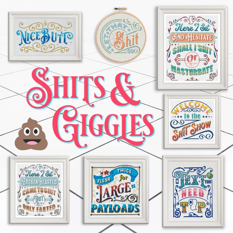 Bienvenue sur le Shit Show Snarky Cross Stitch Pattern Quote in Orange and Blue, Cross Stitch Lover Gift, PDF Instant Digital Download image 4