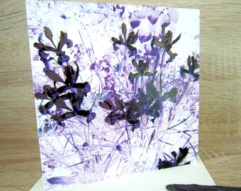 Greetings cards, birthday cards, thank you note, anniversary cards. Flowers, Iris, purple. Blank inside. Mothers day, wedding cards.