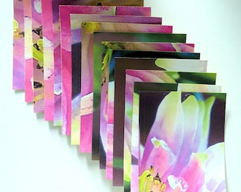 Pink Aquilegia Flower Stickers, Scrapbooking, Collage, Art Projects