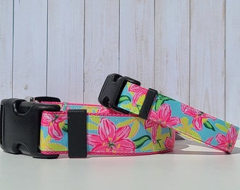 Palm Beach Floral 5/8"(w) & 1"(w) Dog Collars, Harnesses and Leashes sold individually