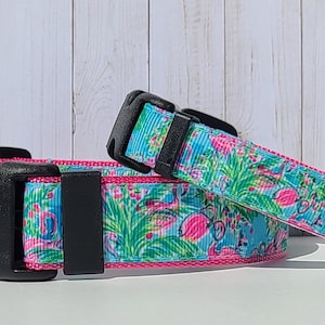 Mingos 5/8"(w) & 1"(w) Dog Collars, Harnesses and Leashes sold individually