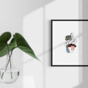 Minimalist Monstera Illustration