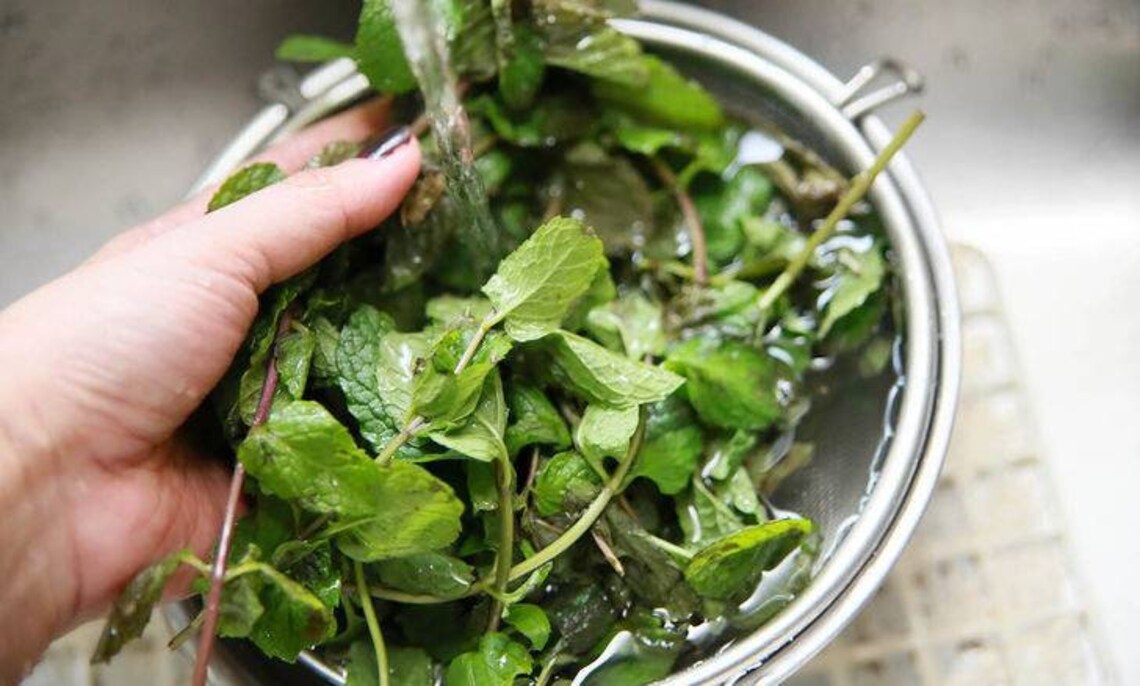 Dried Mint Leaves 100 Pure Natural Herb Peppermint 20grams Etsy