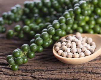 Épice de poivre blanc biologique - Piper Nigrum séché, poivre de Malabar, frais de ferme, herbes de poivre blanc, améliore le goût de votre plat, Kerala