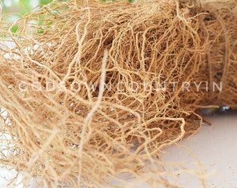 Natural Vetiver Roots - Pure Khus Khus, Ramacham, Vetiveria Zizanioides - Dried Herbal Kuruveeru, Vettivilu, Vetiveerum