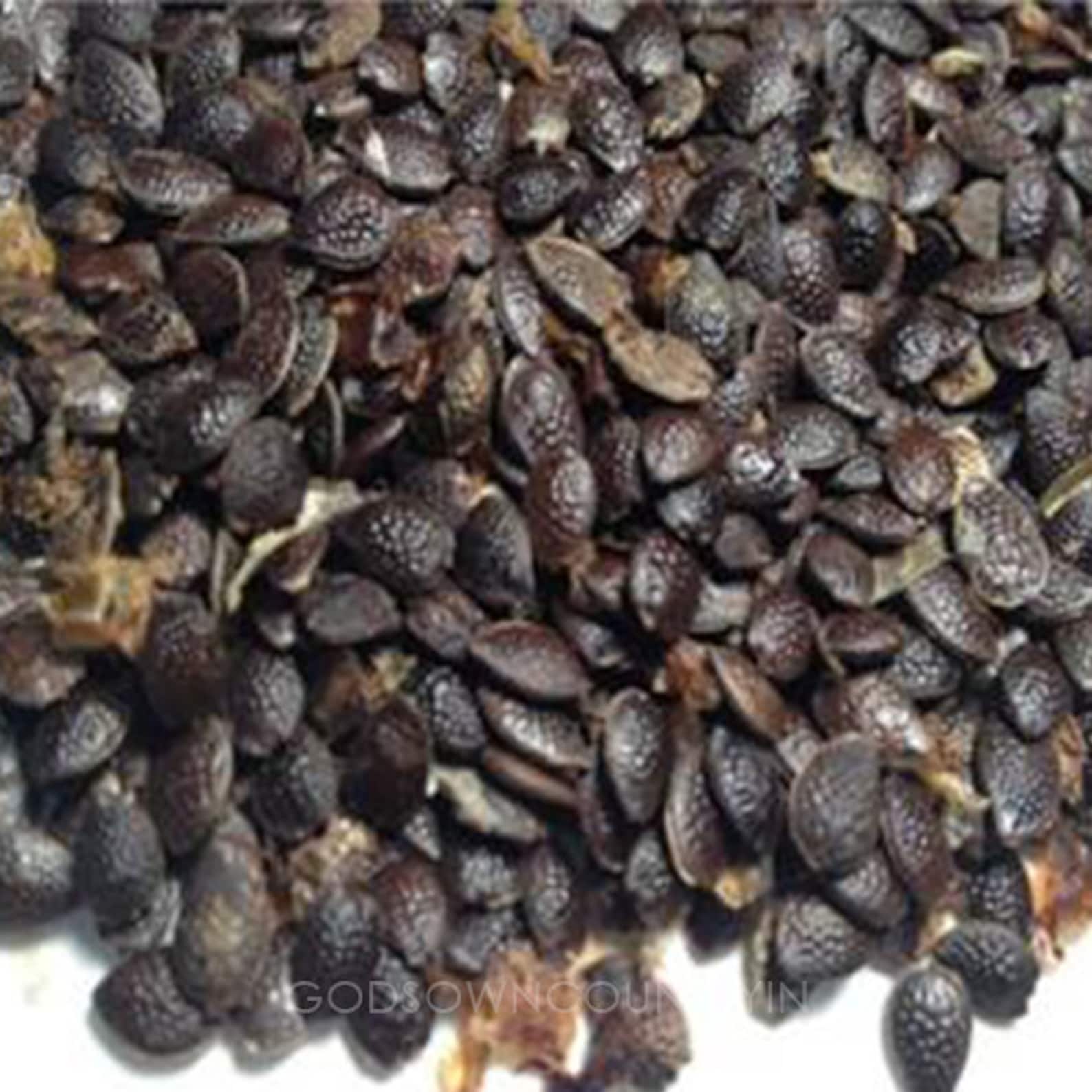 Exotic Passion Fruit Seeds Fruit seeds Organic hybrid Seed Etsy