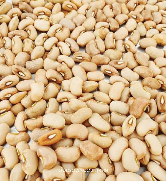 Cowpea Seeds vigna Unguiculata Black-eyed Pea, Kuttipayar, Black-eyed Bean  - Etsy Denmark