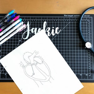 Human Heart Anatomy- Medical Notes Outline
