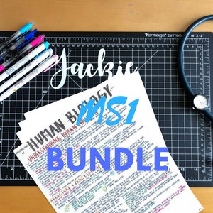 BUNDLE: Physiology (MS1)