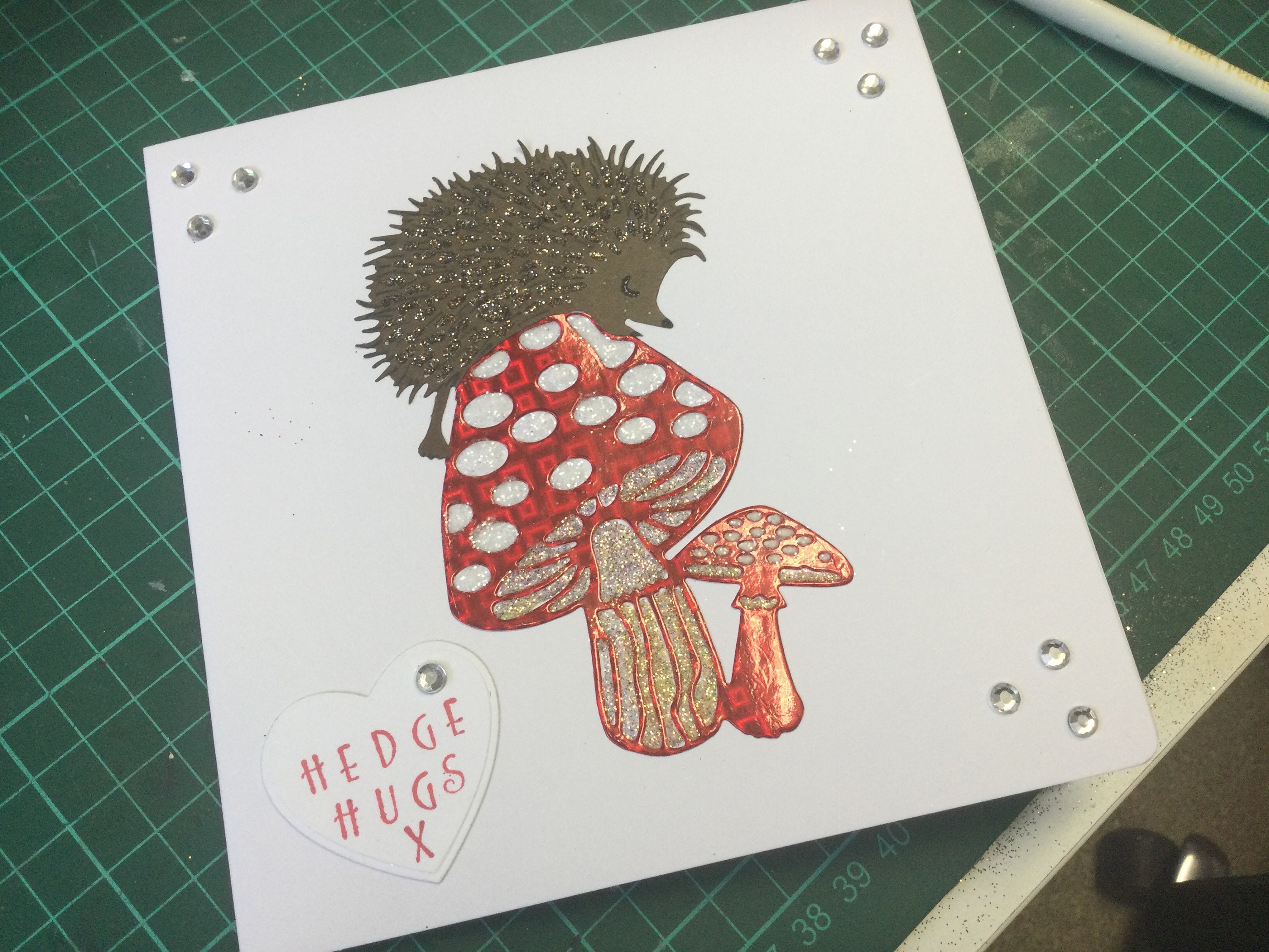 Hedgehugs by Steve Wilson Hedgehugs by Steve Wilson