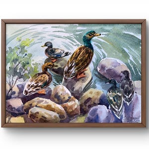 Ritratto originale dipinto ad acquerello, dipinto su carta, ritratto di animali, arte fatta a mano, natura, senza cornice, ritratto di anatre, arte murale