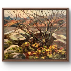 Oil painting landscape original oil painting scene with twisted tree branches and rocks with a river in the background art unframed