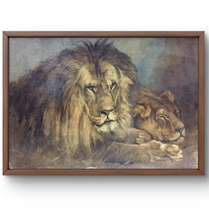 Retrato pintado al óleo original, pintura al óleo sobre cartón, león y leona acostados uno al lado del otro, animales salvajes, arte hecho a mano, sin marco