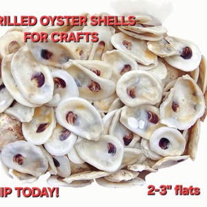 Small Oyster Shells | Holes Drilled | Bulk | Decoupage Ornaments | DIY Bridesmaids | Favors | Placecards | Beach Crafts