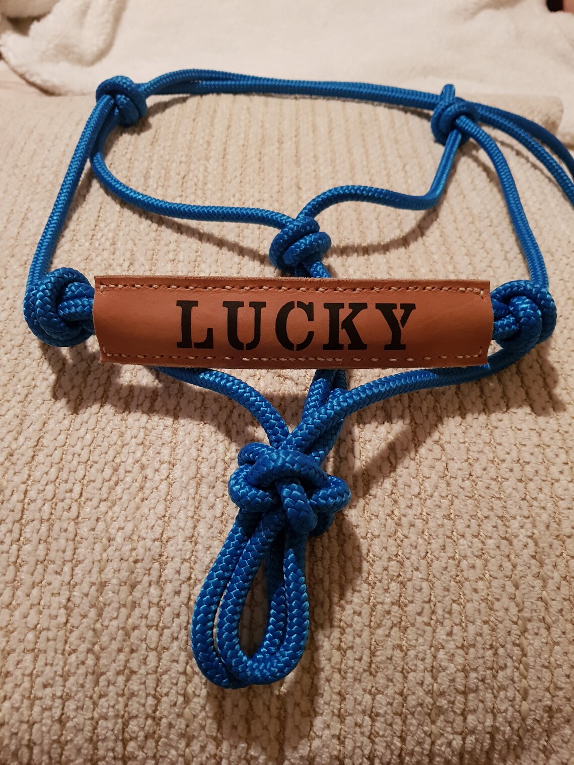 Rope Halter with Personalised Leather Noseband Etsy
