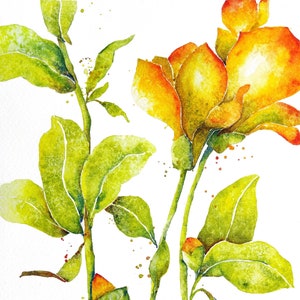 May include: Watercolor painting of yellow and orange flowers with green leaves and stems. The flowers are in various stages of bloom, with some fully open and others still in bud. The painting is on a white background and has a delicate, airy feel.