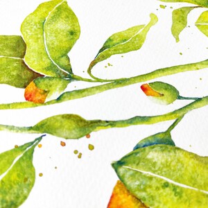 May include: Watercolor painting of a branch with green leaves and orange buds. The leaves are painted in shades of green with white veins. The buds are a bright orange color.