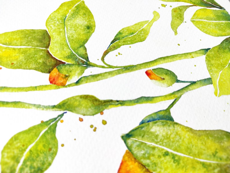 May include: Watercolor painting of a branch with green leaves and orange buds. The leaves are painted in shades of green with white veins. The buds are a bright orange color.