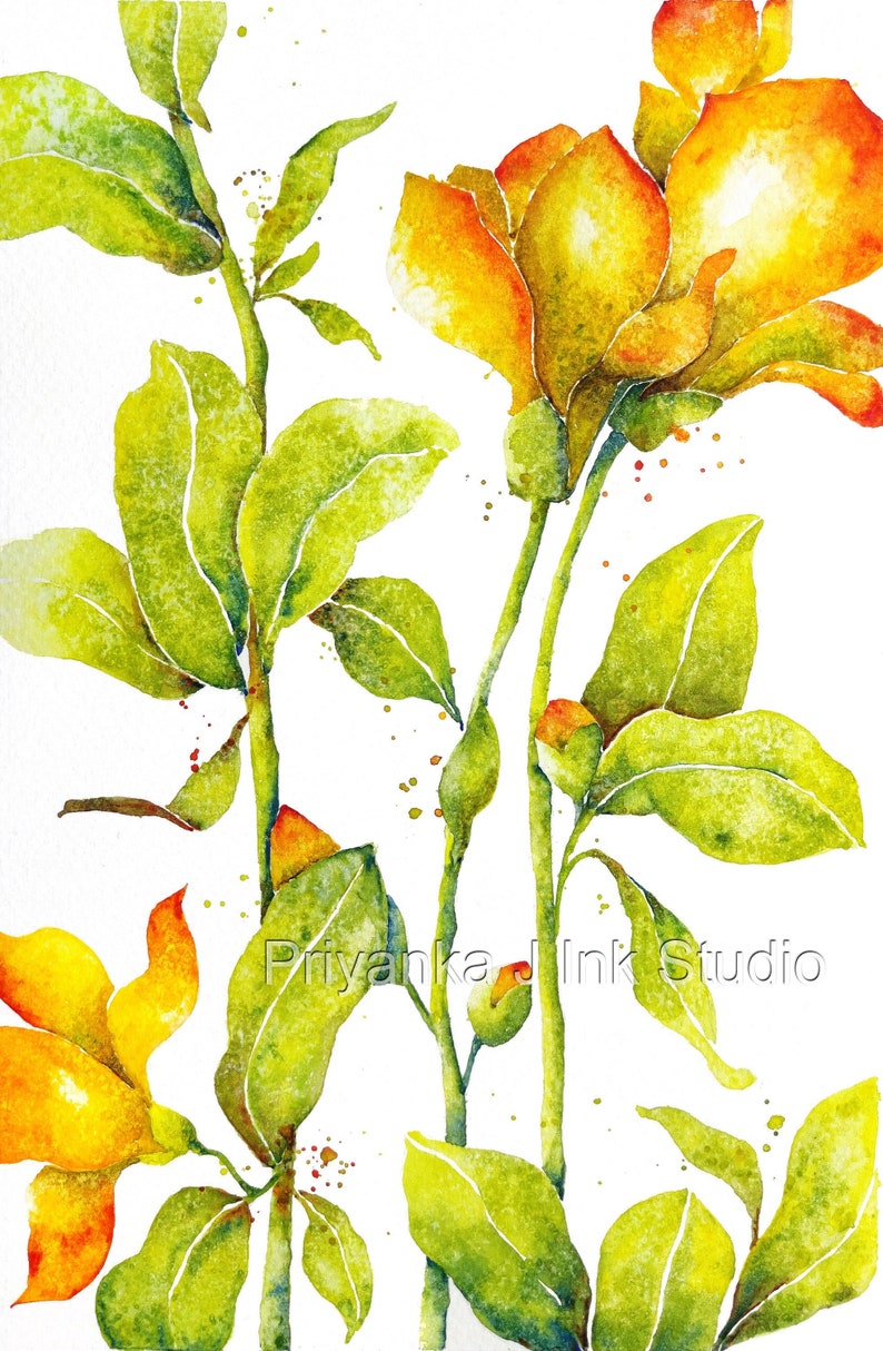 May include: Watercolor painting of yellow and orange flowers with green leaves and stems. The flowers are in various stages of bloom, with some fully open and others still in bud. The painting is on a white background and has a delicate, airy feel.
