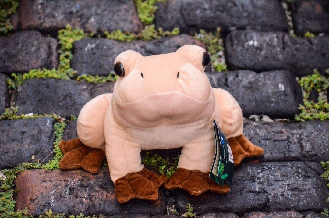 Coqui Frog Plush With Sound Puerto Rico Etsy