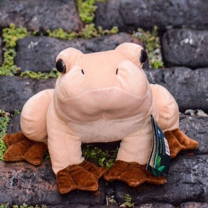 Coqui Frog Plush With Sound Puerto Rico - Etsy