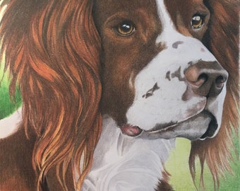Colored Pencil pet portraits