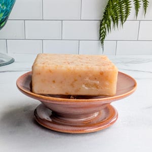 May include: A square bar of light brown soap sits on a two-tiered, reddish-brown ceramic soap dish. The soap dish has a round base and a slightly raised rim. The background includes a white tiled wall and a fern.
