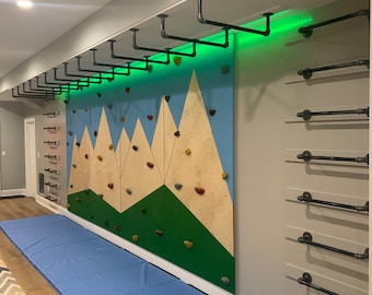Monkey Bars, Home Gym, Jungle Gym, CrossFit Gym, Kids Gym, Monkey Bars Kids, Monkey Bars Indoor