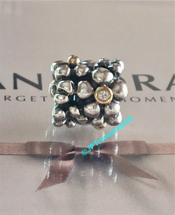 Authentic hotsell pandora charms
