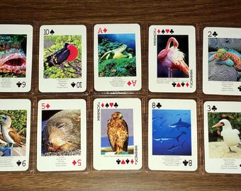 Ensemble animalier des îles Galapagos : 10 signets pour cartes à jouer (environ 3,75 x 2,5 po.)