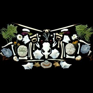 May include: A butterfly-shaped arrangement of natural objects on a black backdrop. The design features bones, shells, dried flowers, and green foliage. The color scheme is predominantly white, beige, green, and black, creating a striking contrast.