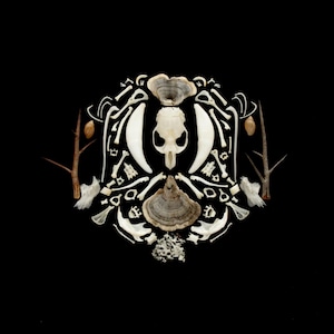 May include: A symmetrical arrangement of off-white animal bones, including a central skull, jawbones, and vertebrae, flanked by two brown thorny branches. Two tan-coloured bracket fungi are positioned at the top and bottom of the collection.