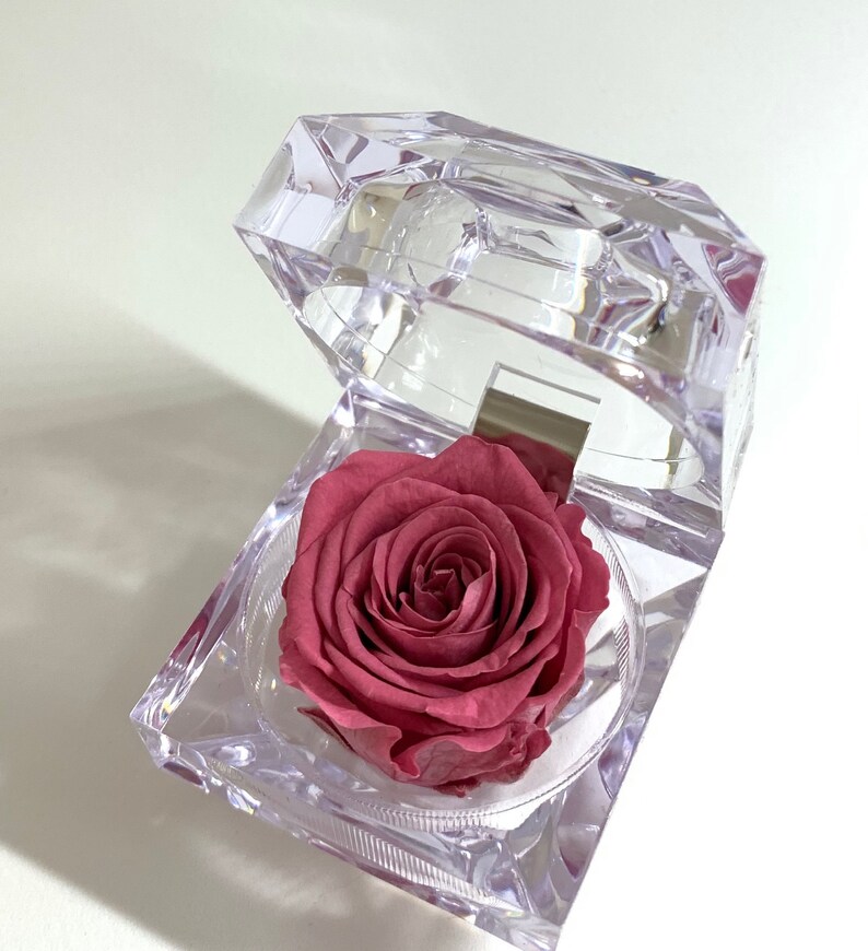 Mini preserved rose in acrylic box Etsy