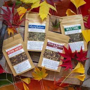 May include: An overhead shot of five tea packets on a wooden tray, surrounded by colorful autumn leaves. The packets are labeled "Bluephoria," "Wild Thing," "Autumn Harvest," and "Roots & Rooibos Chai." Each packet contains loose leaf tea and has a list of ingredients.